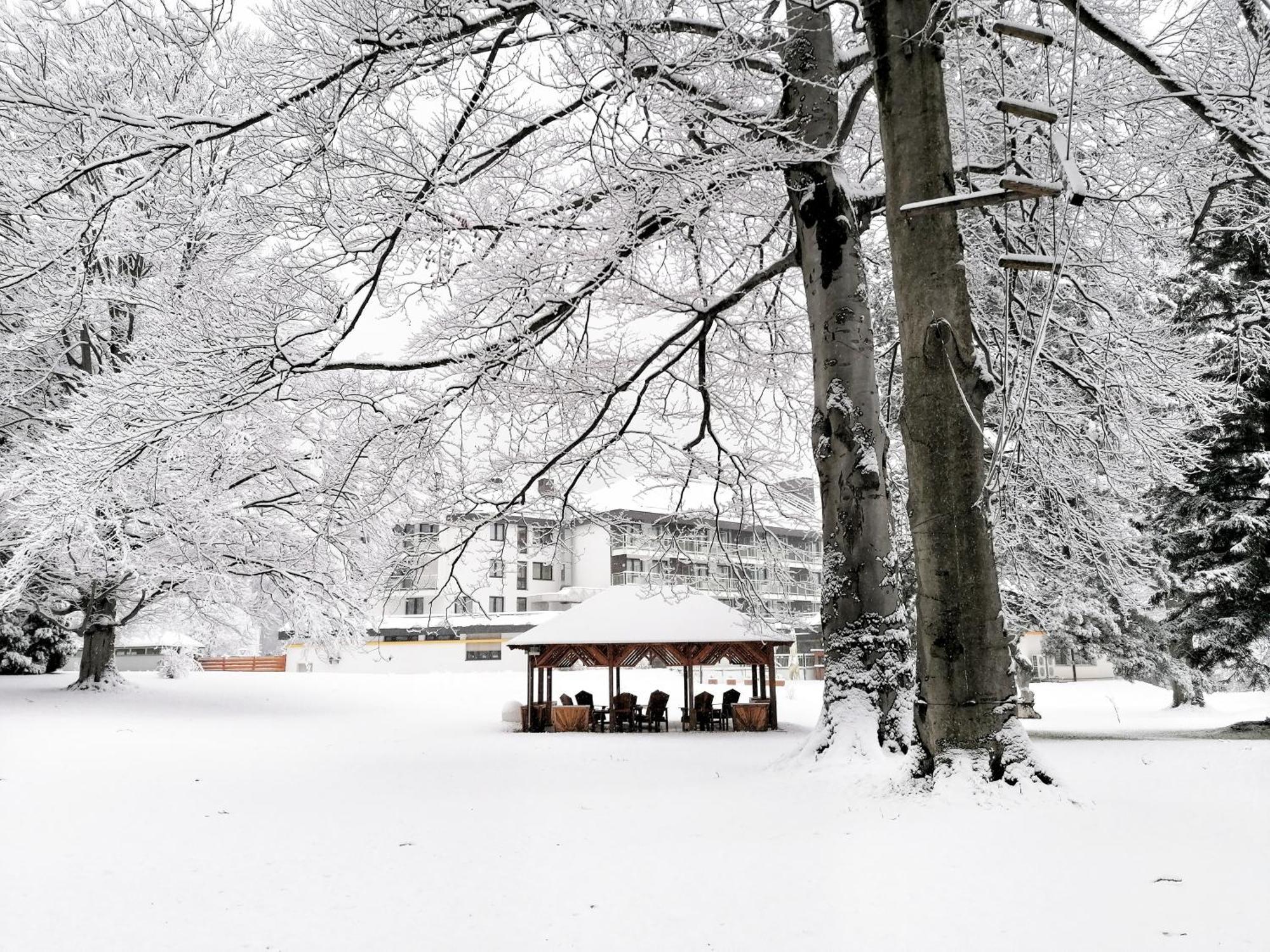 Parkhotel Hirschwang Reichenau Exteriér fotografie